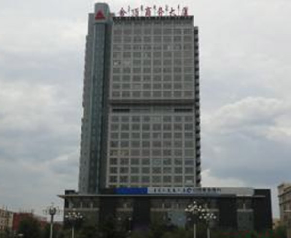 金(jīn)頂商(shāng)務(wù)大廈